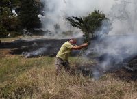 Φωτιά στην Ηλεία: Έκτακτο μήνυμα από το 112 Φωτιά στην Ηλεία: Έκτακτο μήνυμα από το 112