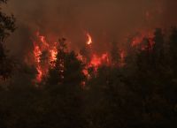 Φωτιές Ελλάδα: 19 προσαγωγές και 6 συλλήψεις με την κατηγορία του εμπρησμού
