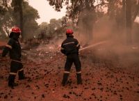 Φωτιές Εύβοια: Όγδοη μέρα μάχης με τις φλόγες – Συνεχείς αναζωπυρώσεις