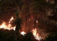 Γορτυνία: Δύσκολη νύχτα με αναζωπυρώσεις – Σκληρή μάχη με τις φλόγες