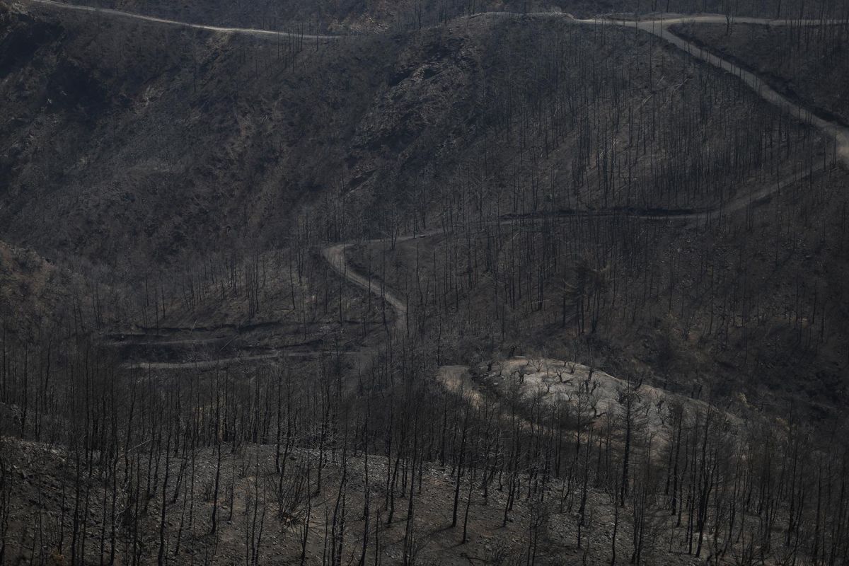 Φωτιά Εύβοια: Συνεχίζεται η μάχη με τις αναζωπυρώσεις – Με δεξαμενόπλοιο τροφοδοτούνται οι υδροφόρες