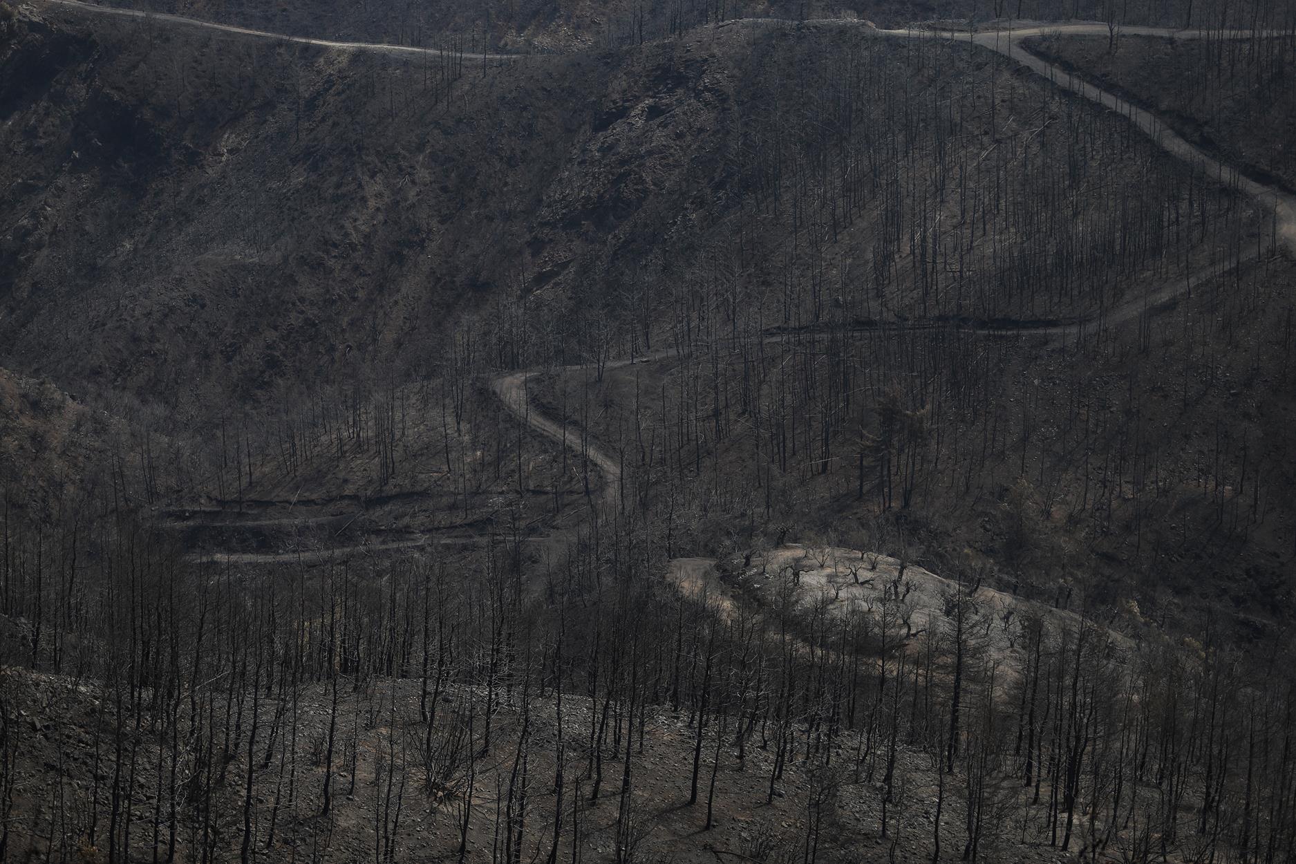 Φωτιά Εύβοια: Συνεχίζεται η μάχη με τις αναζωπυρώσεις – Με δεξαμενόπλοιο τροφοδοτούνται οι υδροφόρες
