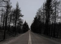 Υπουργείο Εσωτερικών: Έκτακτη χρηματοδότηση 10 πυρόπληκτων δήμων