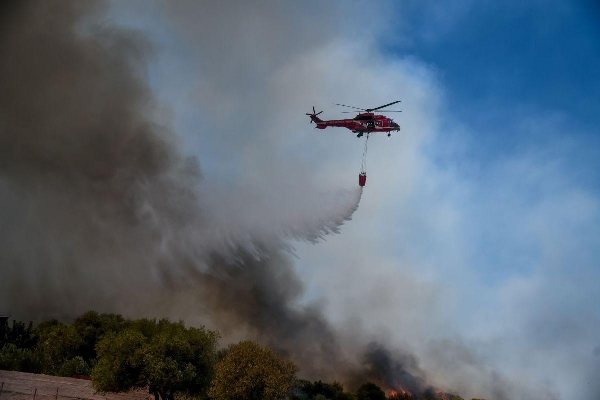 Φωτιά στην Κάρυστο: Μεγάλη αναζωπύρωση στον οικισμό Φηγιά