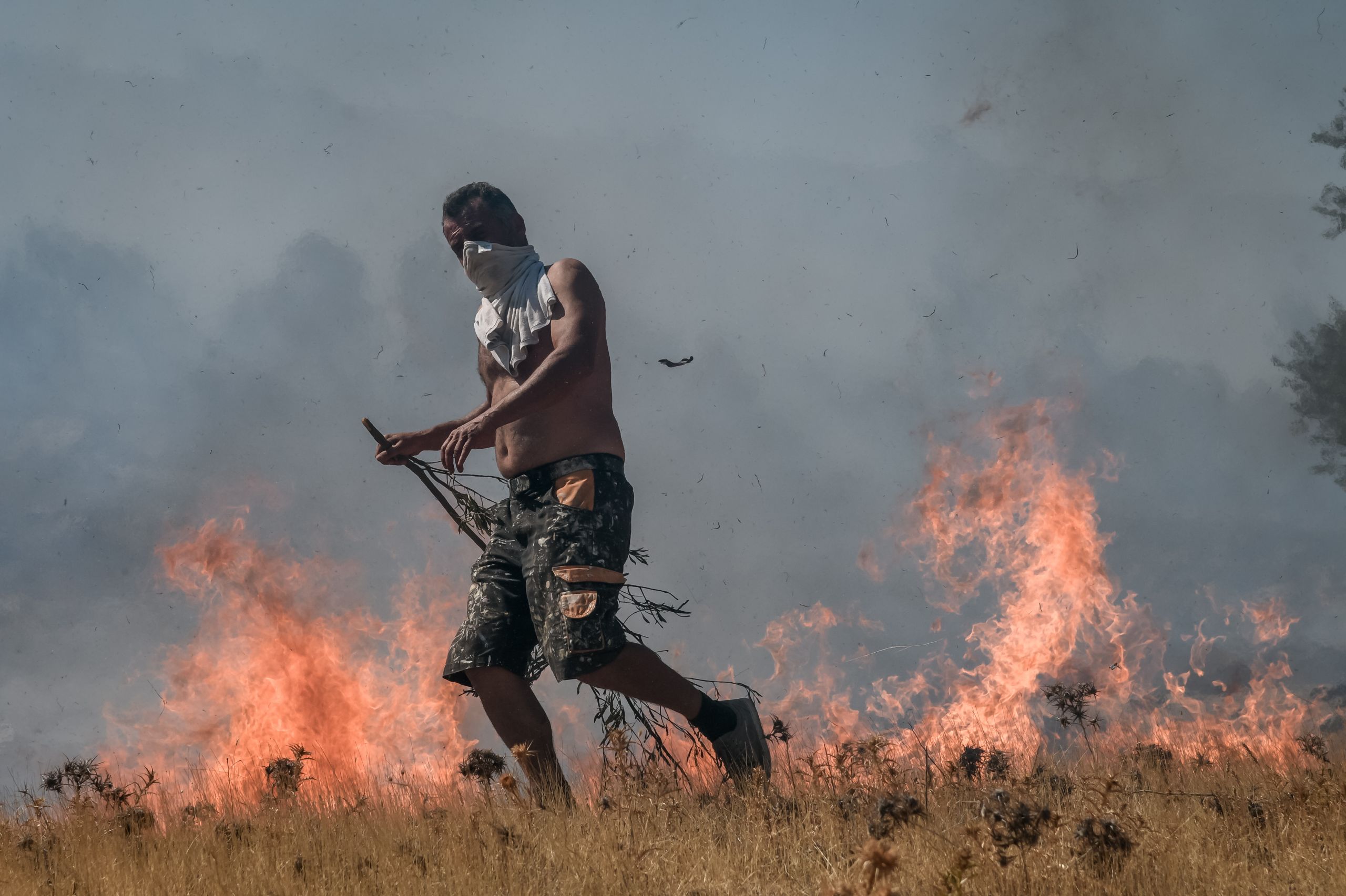 Φωτιές Αττική: Μάχη με τις φλόγες σε Κερατέα και Βίλια