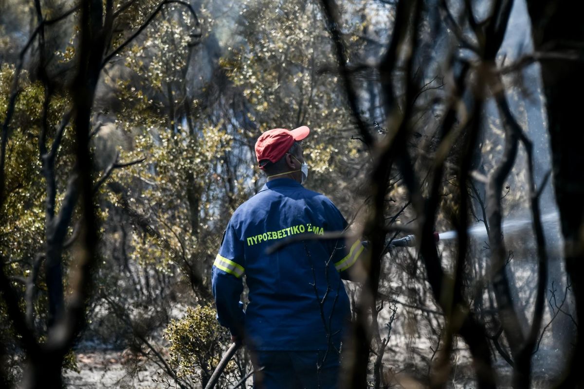 Φωτιά στα Βίλια: Καλύτερη η εικόνα του μετώπου – Συνεχής μάχη με τις αναζωπυρώσεις