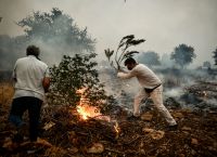 Άμφισσα: Μεγάλη φωτιά κοντά στους Δελφούς – Ισχυρές δυνάμεις στην περιοχή