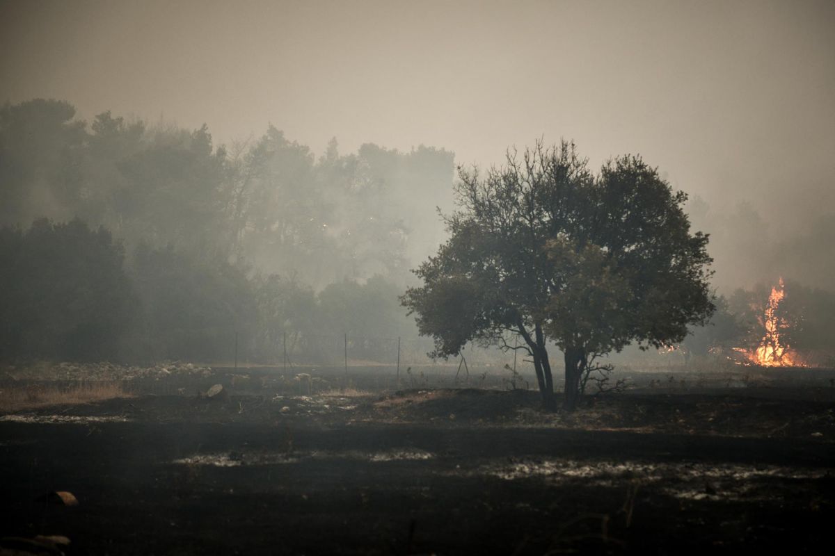 Πολιτική Προστασία: Υψηλός κίνδυνος πυρκαγιάς σε πέντε περιοχές