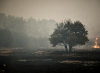 Πολιτική Προστασία: Υψηλός κίνδυνος πυρκαγιάς σε πέντε περιοχές