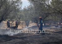 Φωτιά στην Εύβοια: Κάηκαν πάνω από 150 σπίτια και 20000 στρέμματα γης