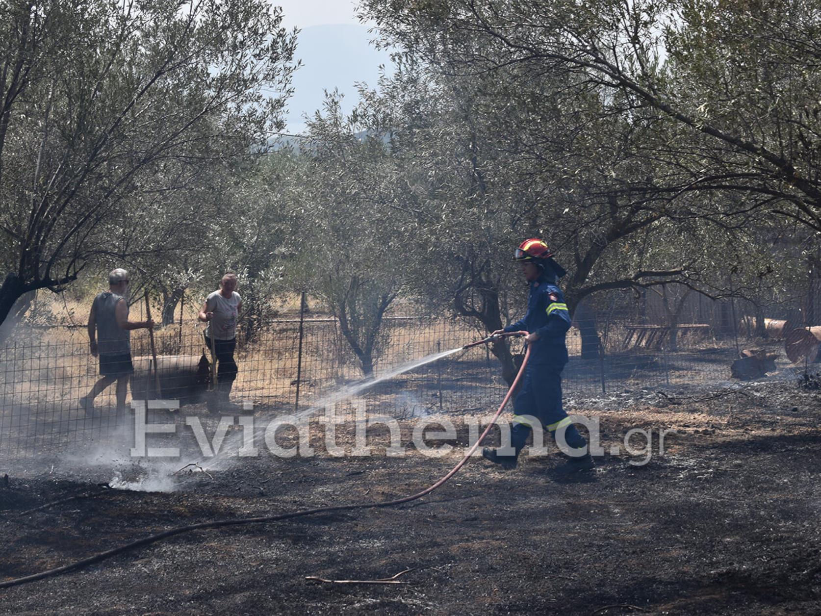 Φωτιά στην Εύβοια: Κάηκαν πάνω από 150 σπίτια και 20000 στρέμματα γης