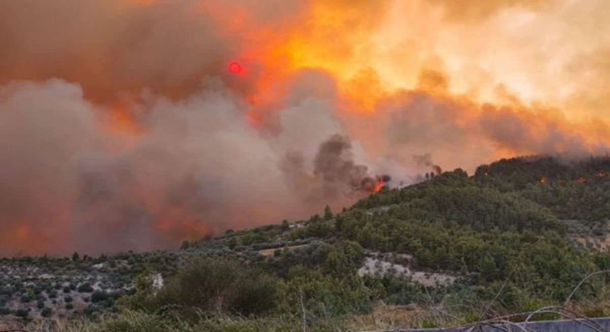 Φωτιά στην Εύβοια: Τρία τα πύρινα μέτωπα της πυρκαγιάς
