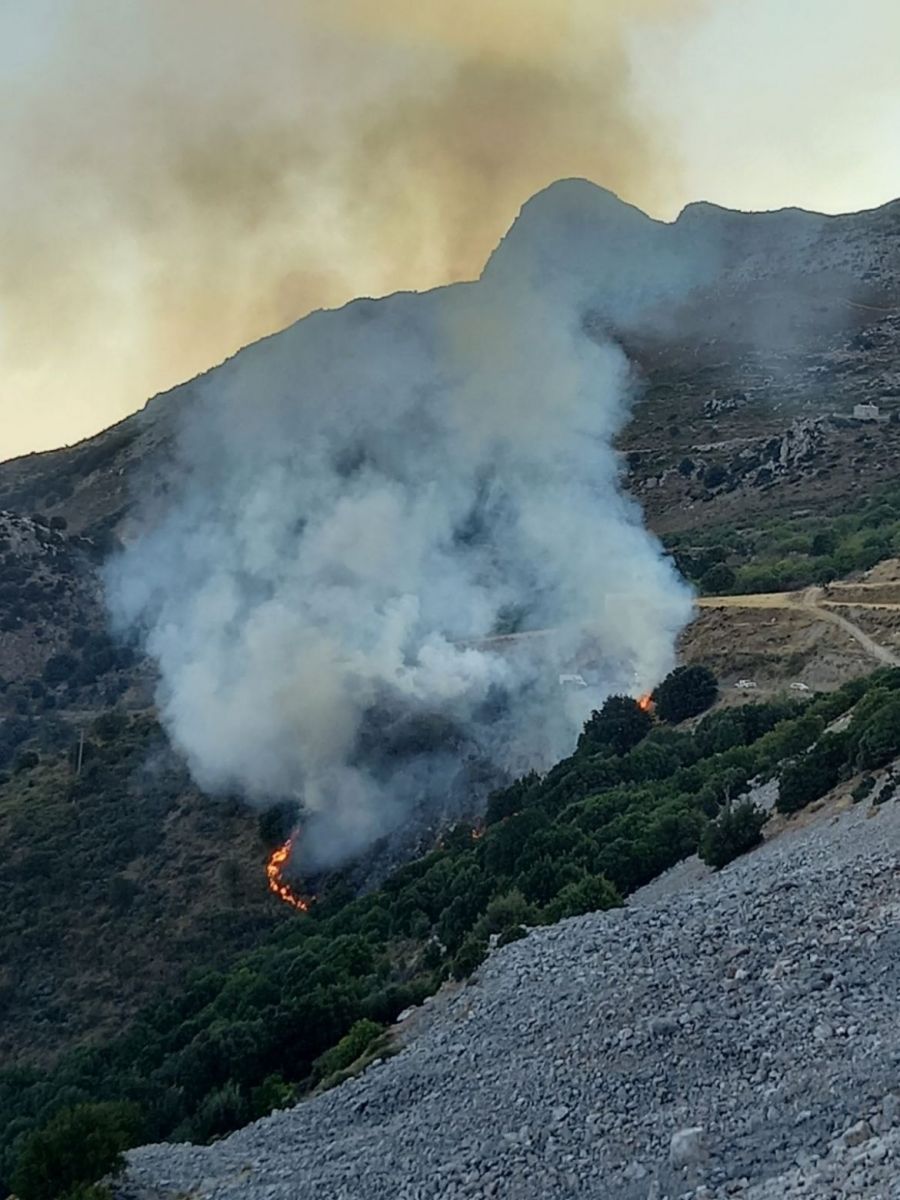 Πυροσβεστική: Τριάντα τέσσερις δασικές πυρκαγιές το τελευταίο 24ωρο