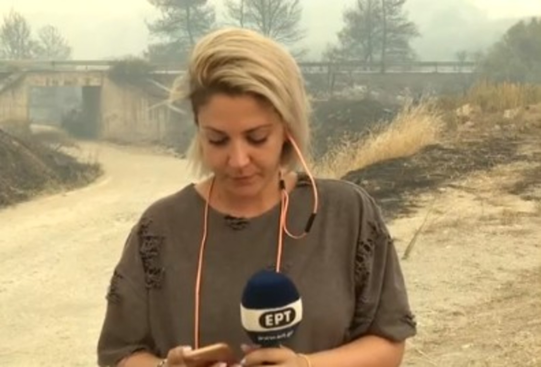 Φωτιά Εύβοια: Δημοσιογράφος δακρύζει στον αέρα για την καταστροφή