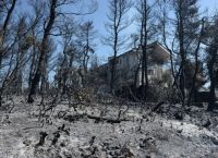 «Κλιματική αλλαγή», εμπρησμοί και μεταναστευτικό: Ένα κουίζ και ένα ερώτημα