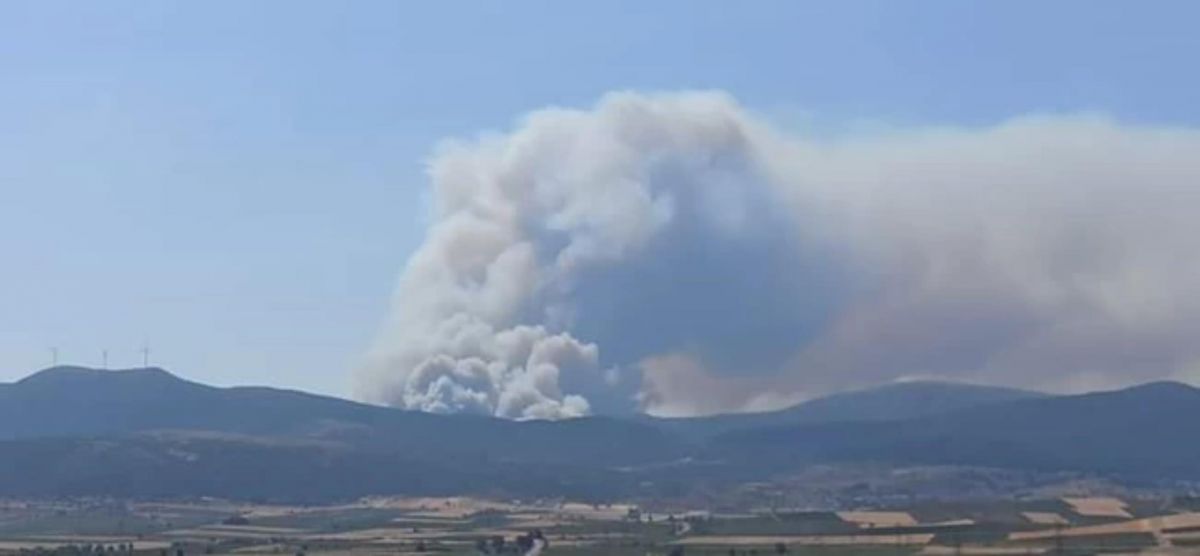 Φωτιά στα Βίλια: Μήνυμα από το 112 για εκκένωση δύο οικισμών