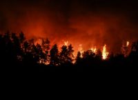 Πυρκαγιές στην Αττική: Εκκενώθηκε το Καλέντζι