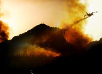 Φωτιές: Τα στρέμματα που κάηκαν σε Αττική και Εύβοια