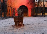 Πυρόπληκτοι: Πάνω από 38 εκατομμύρια οι αποζημιώσεις της ασφαλιστικής αγοράς για τις καταστροφικές