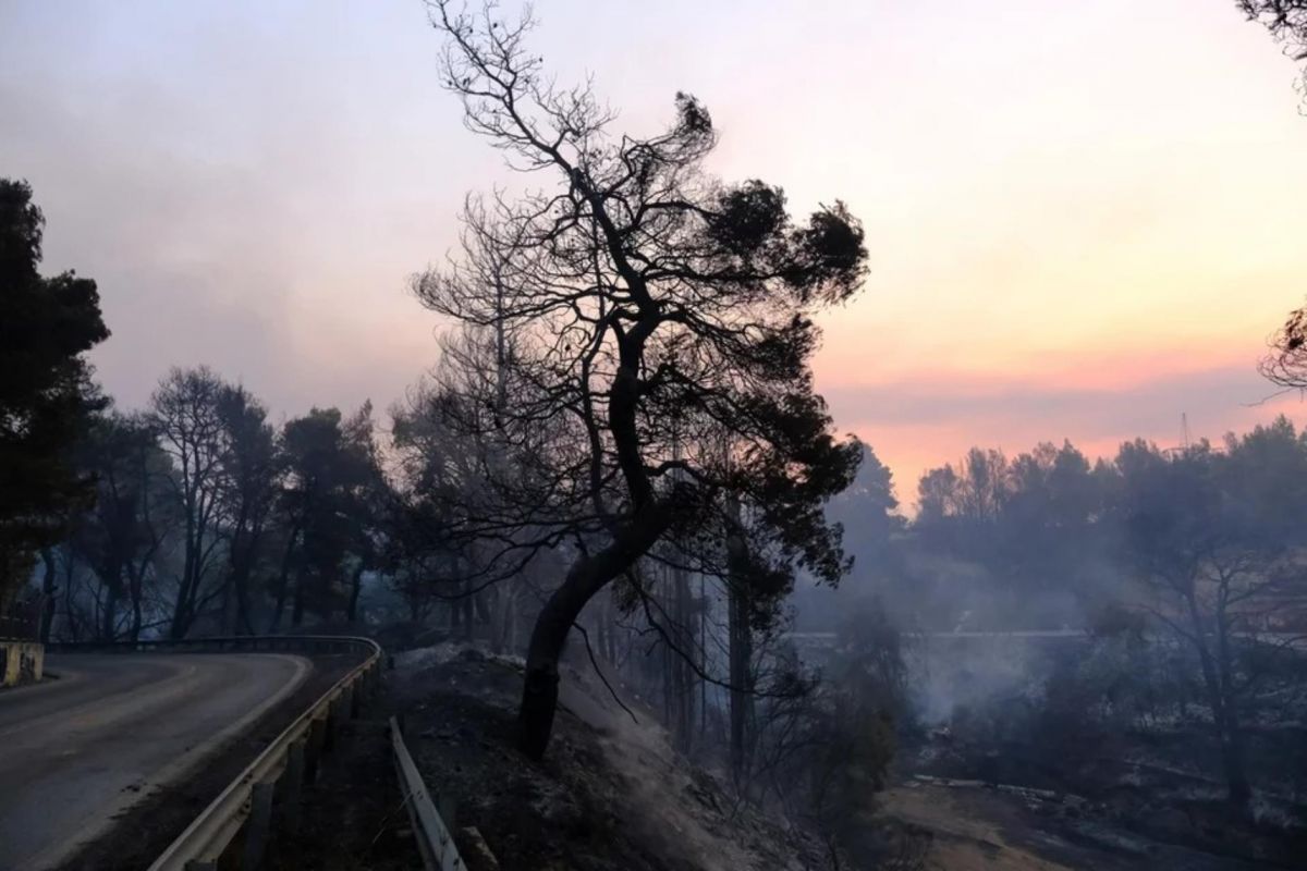 Φωτιές Ελλάδα: Πάνω από 930000 καμένα στρέμματα γης