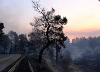 Φωτιές στην Ελλάδα: Πως θα επανεκδόσουν ταυτότητες και διαβατήρια οι πυρόπληκτοι