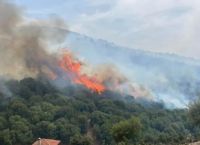 Φωτιά στη Φθιώτιδα: Μεγάλη πυρκαγιά στο Θεολόγο