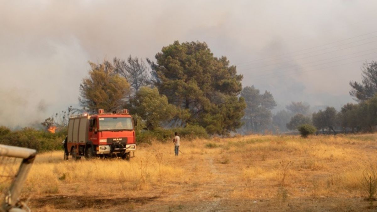 Πυρκαγιές στη Ρόδο: Να κηρυχθούν σε κατάσταση έκτακτης ανάγκης 7 από τις 10 δημοτικές ενότητες