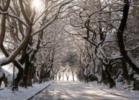 Μερομήνια 2021 – 2022: Έρχεται πολύ βαρύς χειμώνας