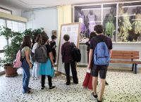 Λάρισα: Αρνητές γονείς δεν στέλνουν τα παιδιά τους στο σχολείο