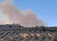 Φωτιά στην Αταλάντη: Επιχειρούν εναέρια μέσα