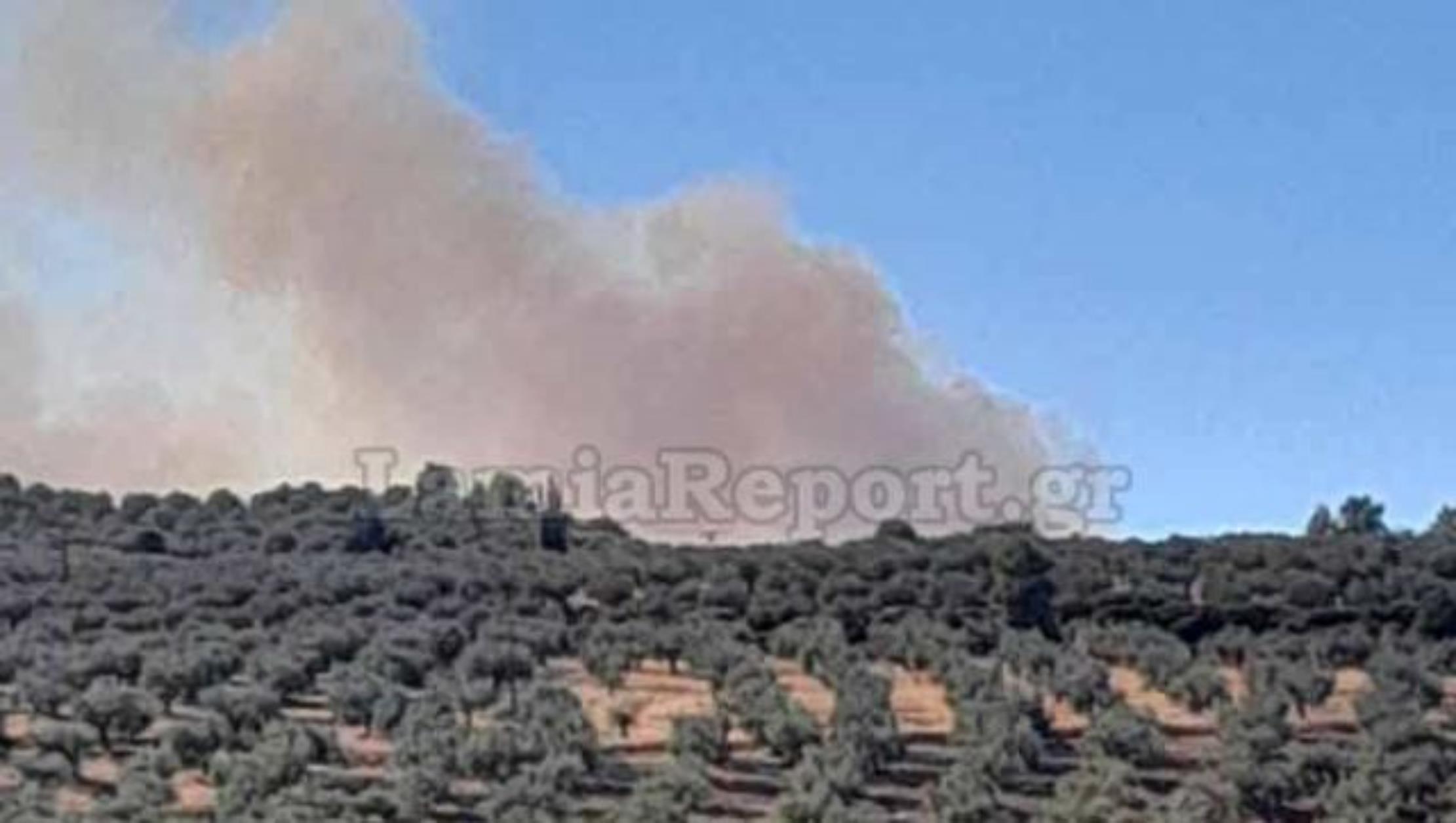 Φωτιά στην Αταλάντη: Επιχειρούν εναέρια μέσα