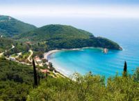 Το μεγαλύτερο δηλητηριώδες έντομο στον πλανήτη εμφανίστηκε σε Ελληνική παραλία