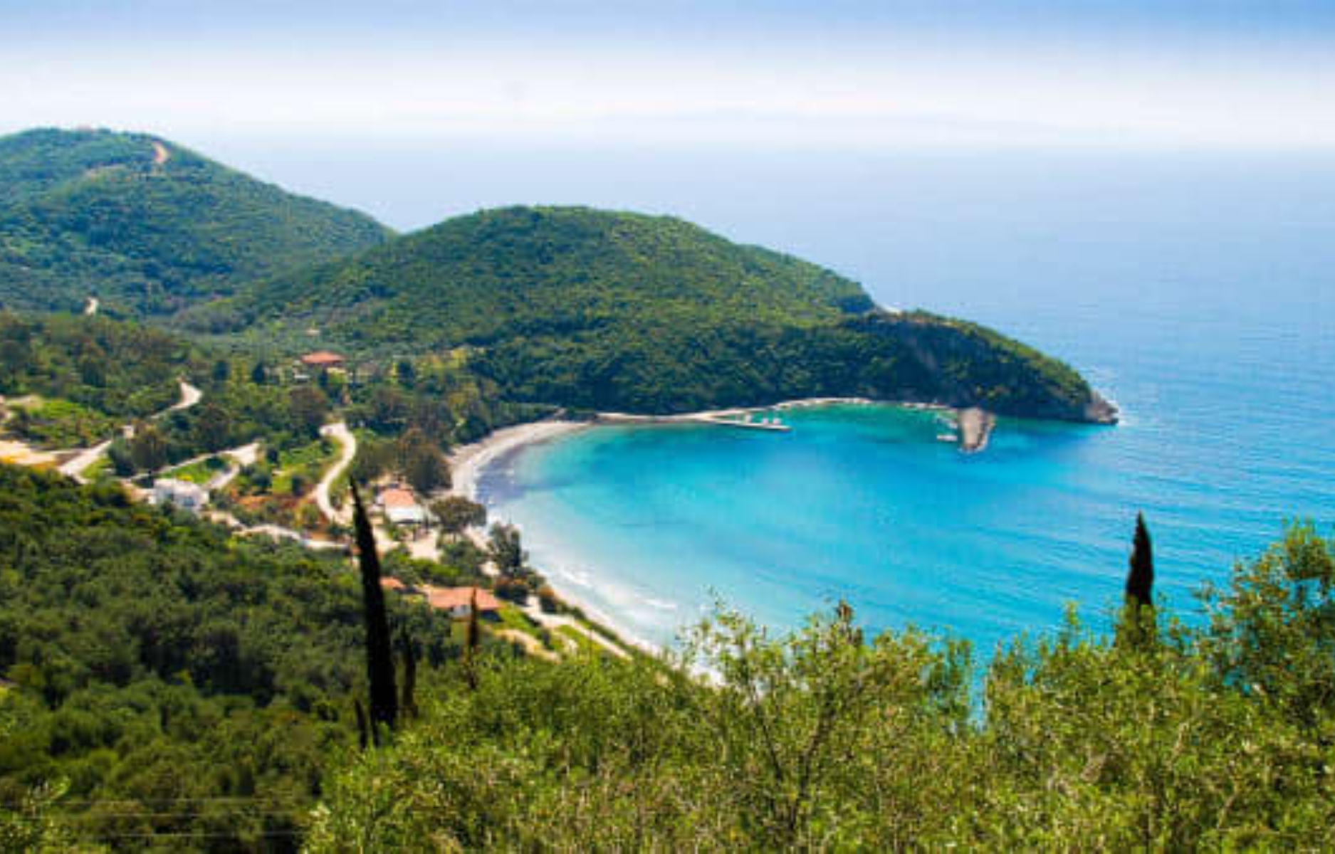 Το μεγαλύτερο δηλητηριώδες έντομο στον πλανήτη εμφανίστηκε σε Ελληνική παραλία