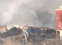 Φωτιά στον Ελαιώνα: Περιορίστηκε το μέτωπο