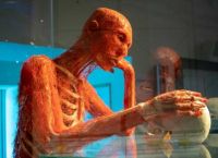 Έκθεση Body Worlds: Ένα κάλεσμα για γνωριμία με το σώμα μας Έκθεση Body Worlds: Ένα κάλεσμα για γνωριμία με το σώμα μας