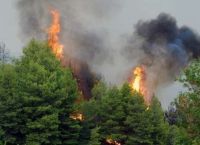 Φωτιά στην Ηλεία: Καίει δασική έκταση σε δύσβατη περιοχή