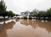 Εύβοια: Οι κάτοικοι μετρούν ξανά τις πληγές τους Εύβοια: Οι κάτοικοι μετρούν ξανά τις πληγές τους