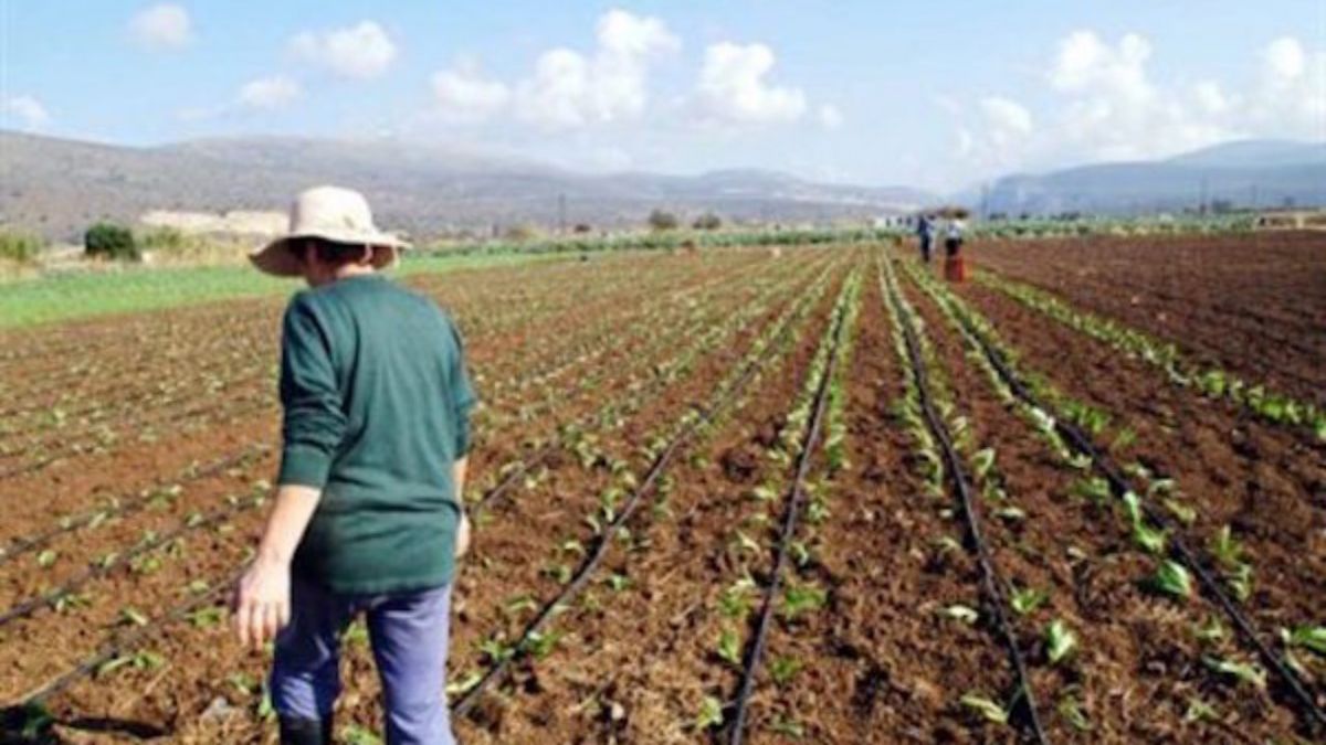 Αγρότες ενίσχυση: Η Κομισιόν ενέκρινε ελληνικό πρόγραμμα 31,5 εκατομμύρια ευρώ