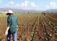 Υπουργείο Αγροτικής Ανάπτυξης: Άνοιξε η πλατφόρμα για νέους αγρότες – Έως και 40.000 ευρώ σε κάθε ωφελούμενο