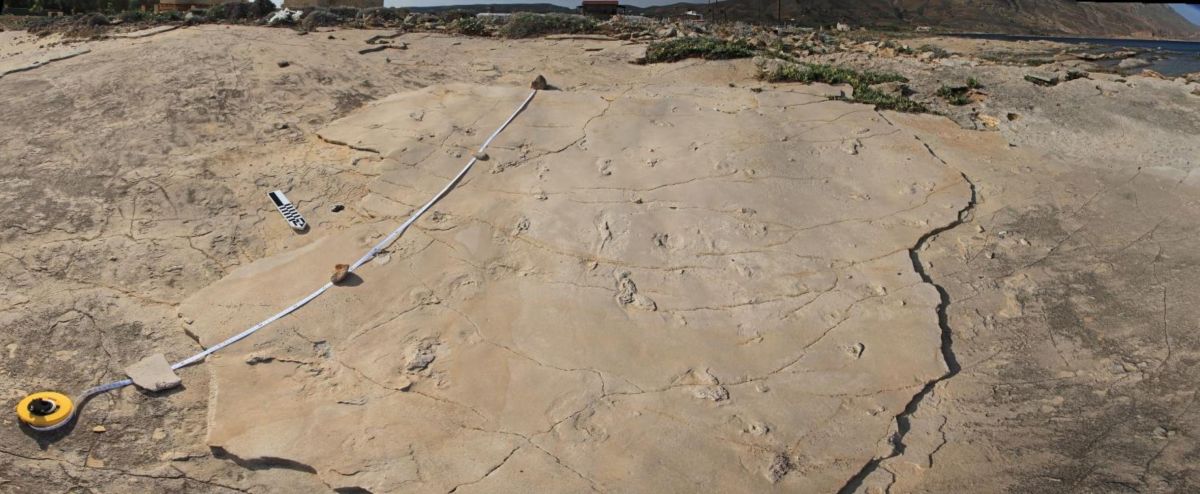 Κρήτη: Εκεί ανακαλύφθηκαν οι αρχαιότερες πατημασιές ανθρώπου – Είναι 6,05 εκατομμυρίων χρόνων
