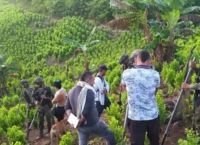 Κολομβία: Ελεύθεροι 180 στρατιωτικοί που κράταγαν καλλιεργητές κοκαΐνης