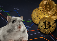 Mr Goxx: Το κρυπτο – χάμστερ που νικά τους επενδυτές