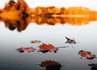 Οκτώβριος: Γιατί είναι ο μόνος μήνας που δεν παίρνει «μ»