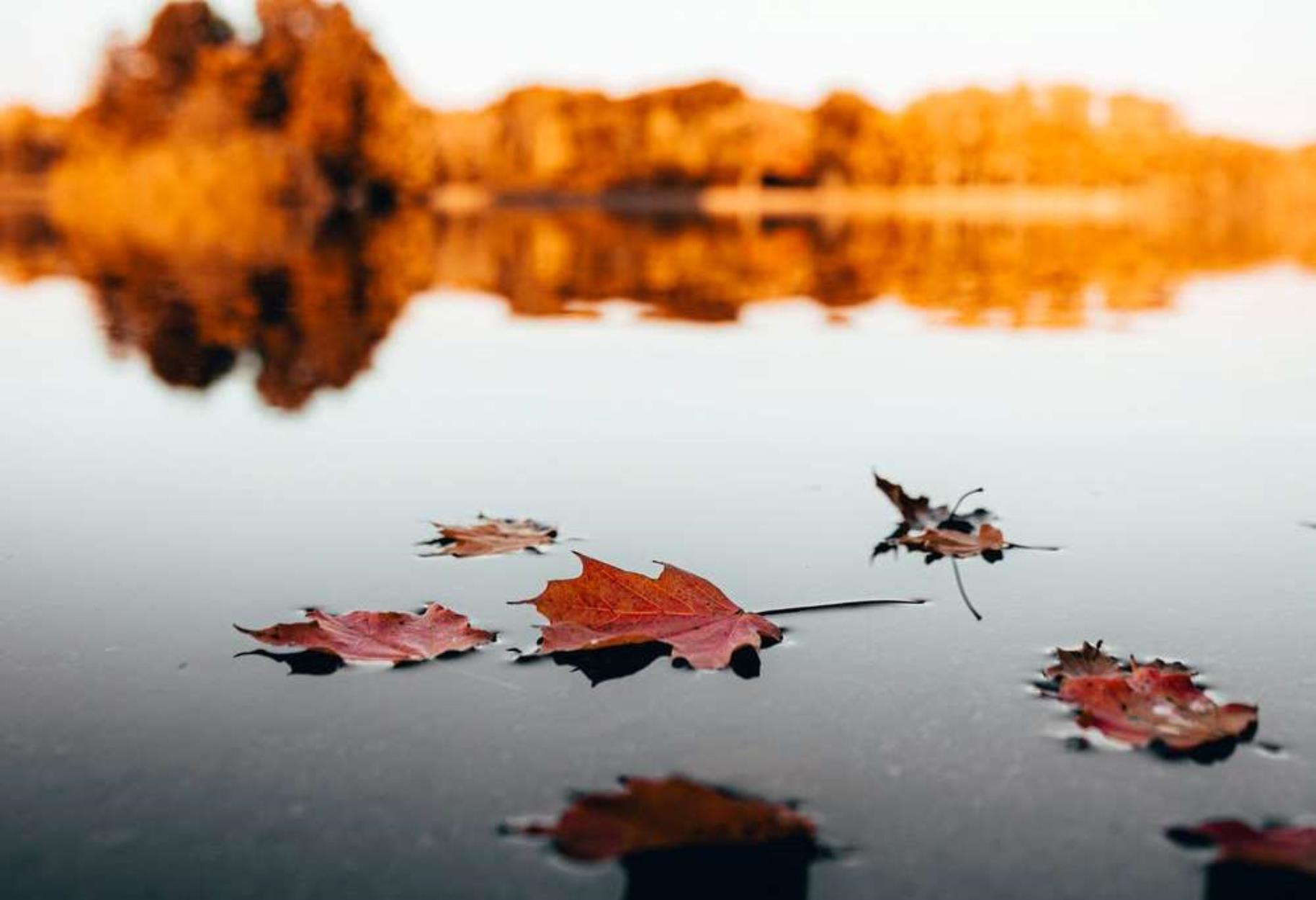 Οκτώβριος: Γιατί είναι ο μόνος μήνας που δεν παίρνει «μ»