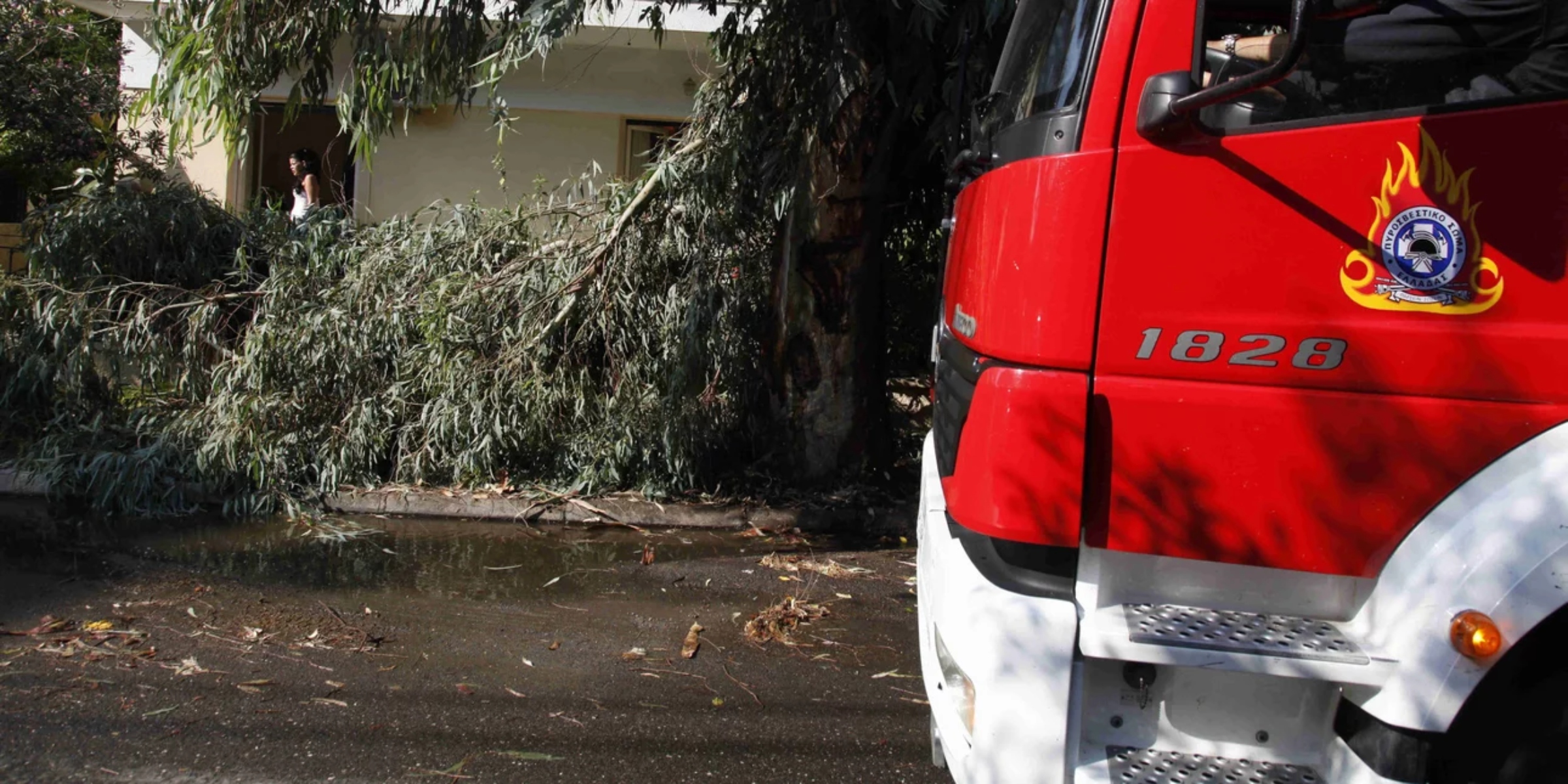 Κακοκαιρία στη Θεσσαλονίκη: Πτώσεις δέντρων σε οχήματα