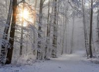 Μερομήνια: Οι προβλέψεις για τον καιρό του χειμώνα