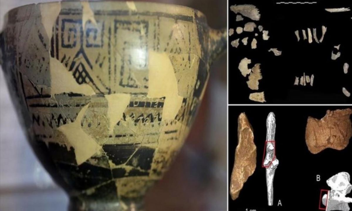 Τάφος του Κυπέλλου του Νέστορα: Νέα ευρήματα έρχονται στο φως