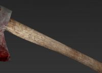 Λαμία: Άγρια δολοφονία με τσεκούρι