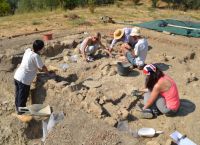 Μυκηναϊκή νεκρόπολη: Ανακαλύφθηκαν πολύτιμα σύνολα κτερισμάτων και χάλκινα ξίφη