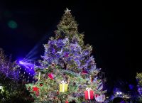 Όμικρον: Ματαιώθηκε χριστουγεννιάτικη εκδήλωση του Δήμου Αθηναίων